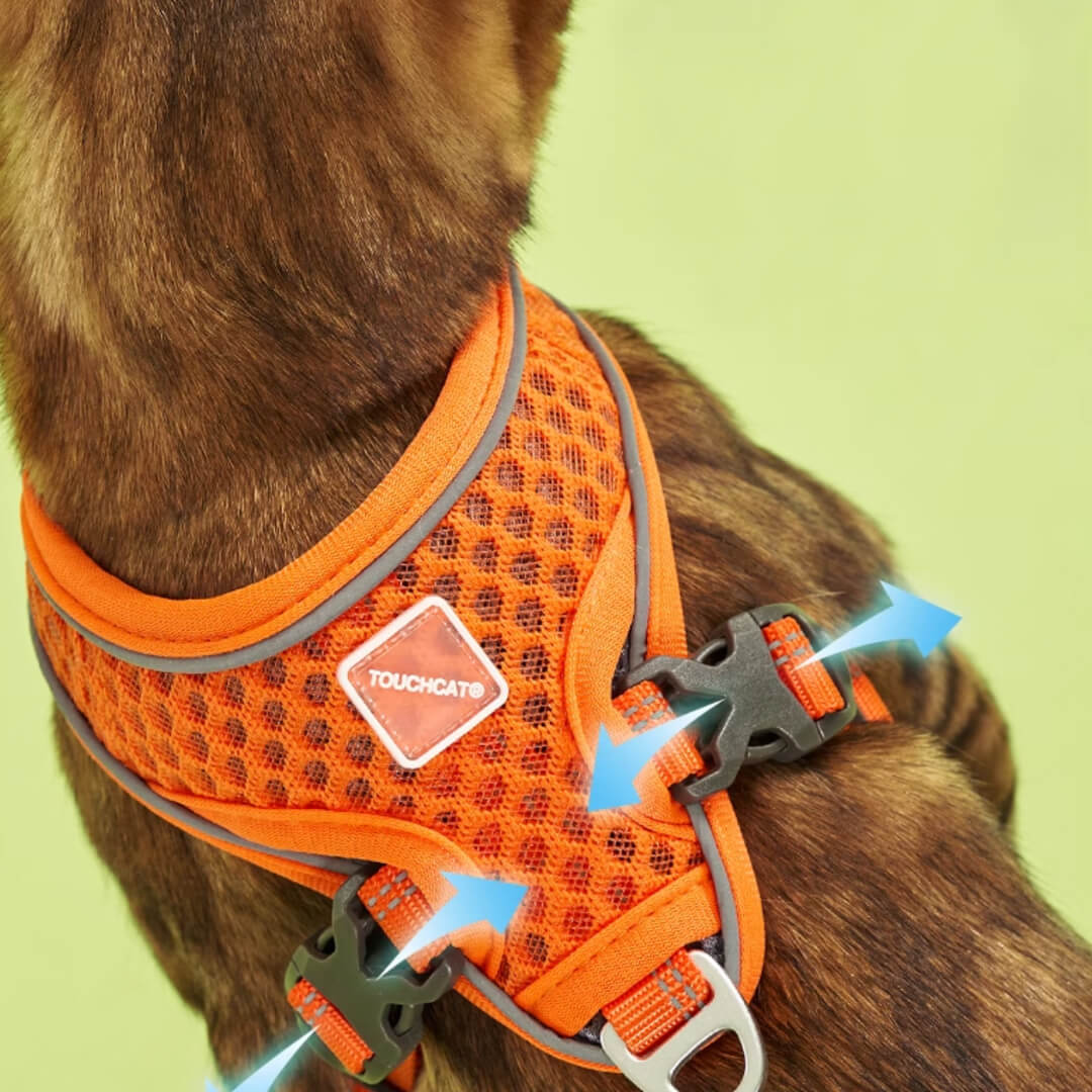 Orange Mesh Vest Cat Harness & Leash Set | MissyMoMo