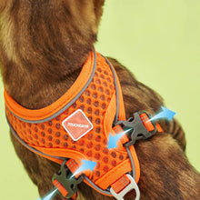 Load image into Gallery viewer, Orange Mesh Vest Cat Harness &amp; Leash Set | MissyMoMo
