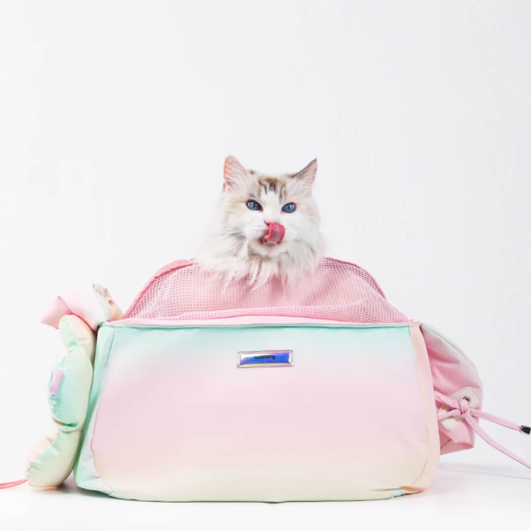 Cat Inside Pink Gradien Crossbody Cat Bag Carrier | MissyMoMo