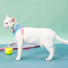 Load image into Gallery viewer, Devon Rex in Blue &amp; Pink Cat Vest Harness | MissyMoMo
