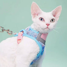 Load image into Gallery viewer, Devon Rex in Blue &amp; Pink Cat Vest Harness | MissyMoMo

