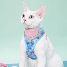 Load image into Gallery viewer, Devon Rex in Blue &amp; Pink Cat Vest Harness | MissyMoMo

