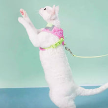 Load image into Gallery viewer, Devon Rex in Green &amp; Pink Cat Vest Harness | MissyMoMo
