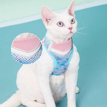 Load image into Gallery viewer, Devon Rex in Blue &amp; Pink Cat Vest Harness | MissyMoMo
