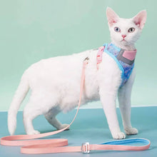 Load image into Gallery viewer, Devon Rex in Blue &amp; Pink Cat Vest Harness | MissyMoMo
