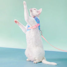 Load image into Gallery viewer, Devon Rex in Blue &amp; Pink Cat Vest Harness | MissyMoMo
