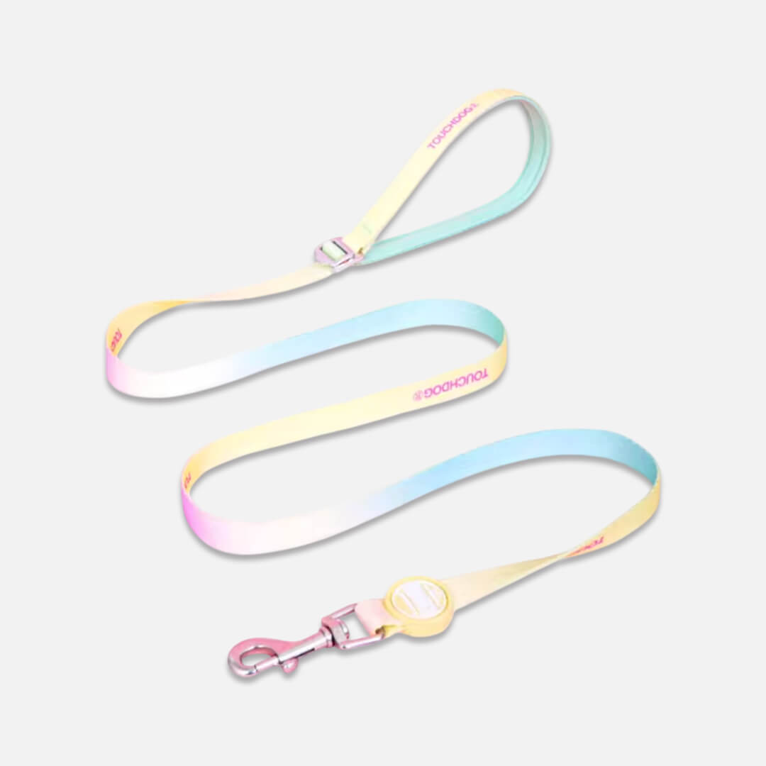 Colorful Cat Leash | MissyMoMo