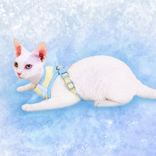 Load image into Gallery viewer, Devon Rex in Mesh Vest Cat Harness | MissyMoMo
