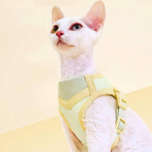Load image into Gallery viewer, Devon Rex in Mesh Vest Cat Harness | MissyMoMo
