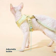 Load image into Gallery viewer, Devon Rex in Mesh Vest Cat Harness and Leash with Adjustable Buckle | MissyMoMo
