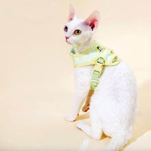 Load image into Gallery viewer, Devon Rex in Mesh Vest Cat Harness | MissyMoMo
