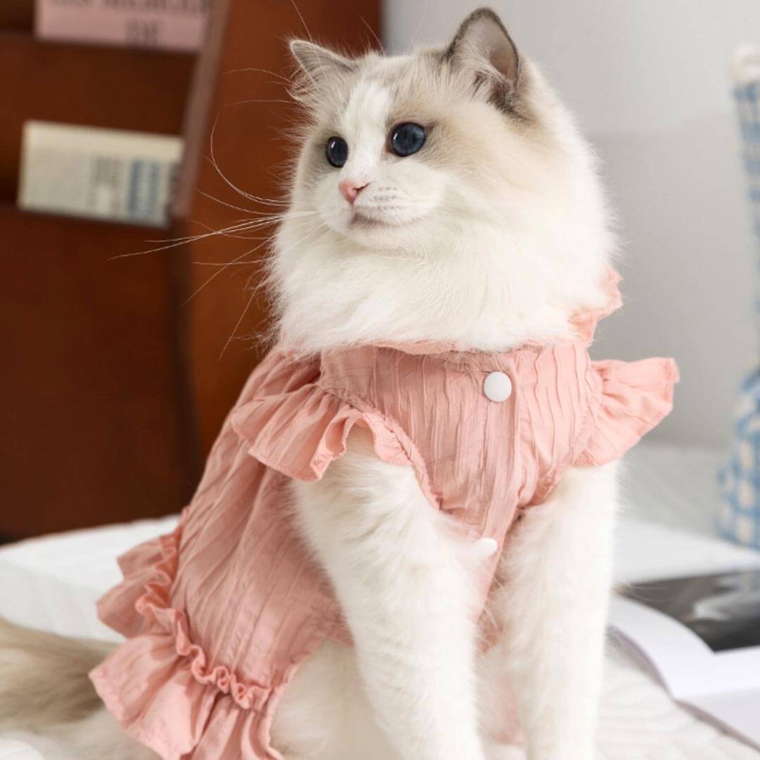 Cat in Pink Tulip Cat Dress | Cute Ruffle Cat Clothes | MissyMoMo
