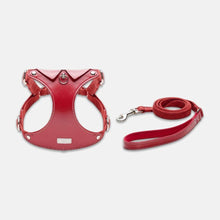 Load image into Gallery viewer, Red Leather Cat Harness &amp; Leather Set for Walking | MissyMoMo
