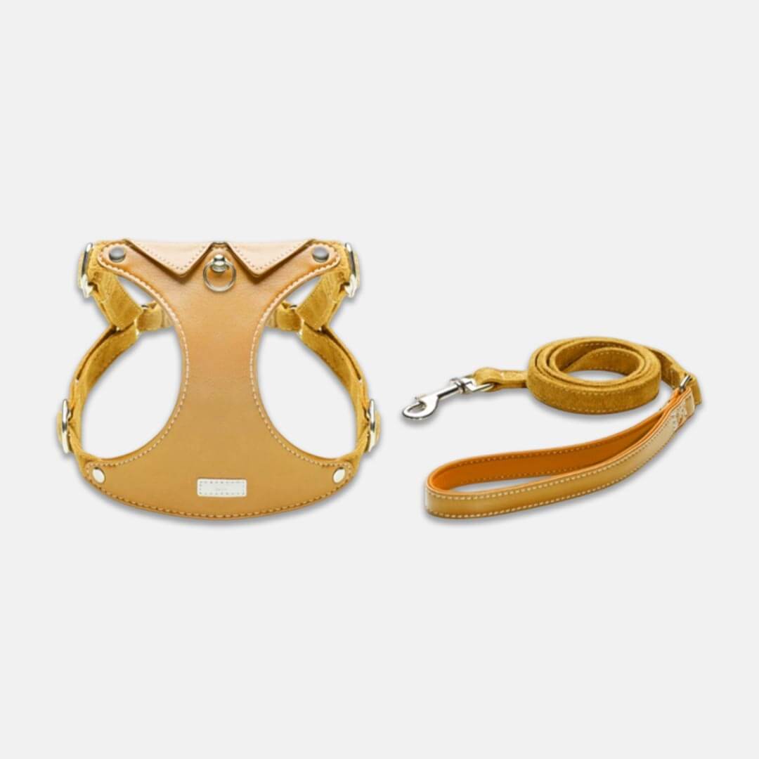 Yellow Leather Cat Harness & Leather Set for Walking | MissyMoMo