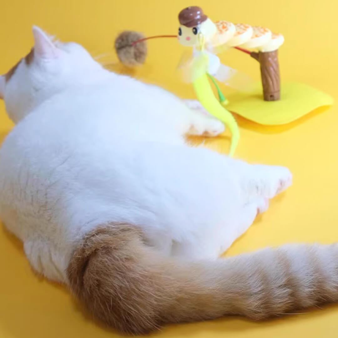 Cat Playing with Twist & Tease Snake Cat Toy | Interactive Cat Toy | MissyMoMo