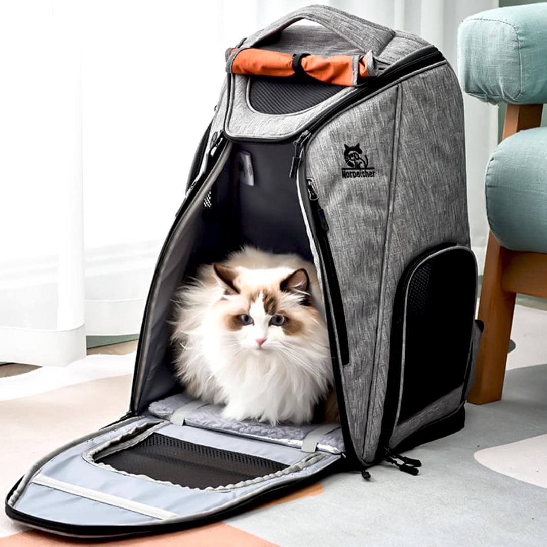 Urban Wanderer Cat Backpack for Carrying Cat | Cat in Backpack | MissyMoMo