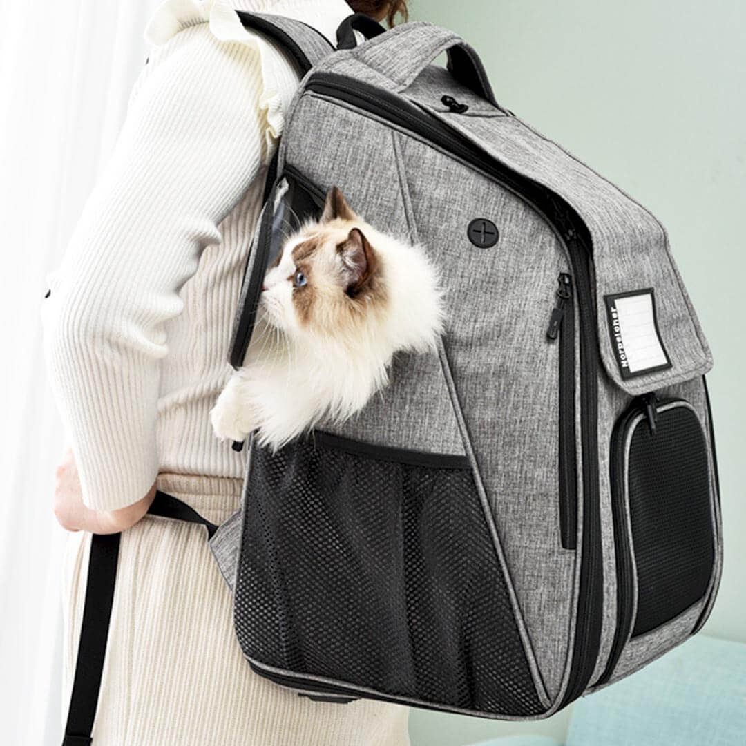 Urban Wanderer Cat Backpack for Carrying Cat | Carrying Cat in Backpack | MissyMoMo