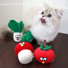 Load image into Gallery viewer, Cat Playing with Veggie Catnip Toys | MissyMoMo
