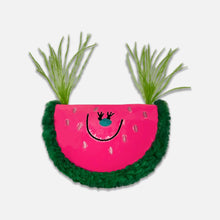 Load image into Gallery viewer, Watermelon Catnip Toy | Cat Toys for Boredom | MissyMoMo
