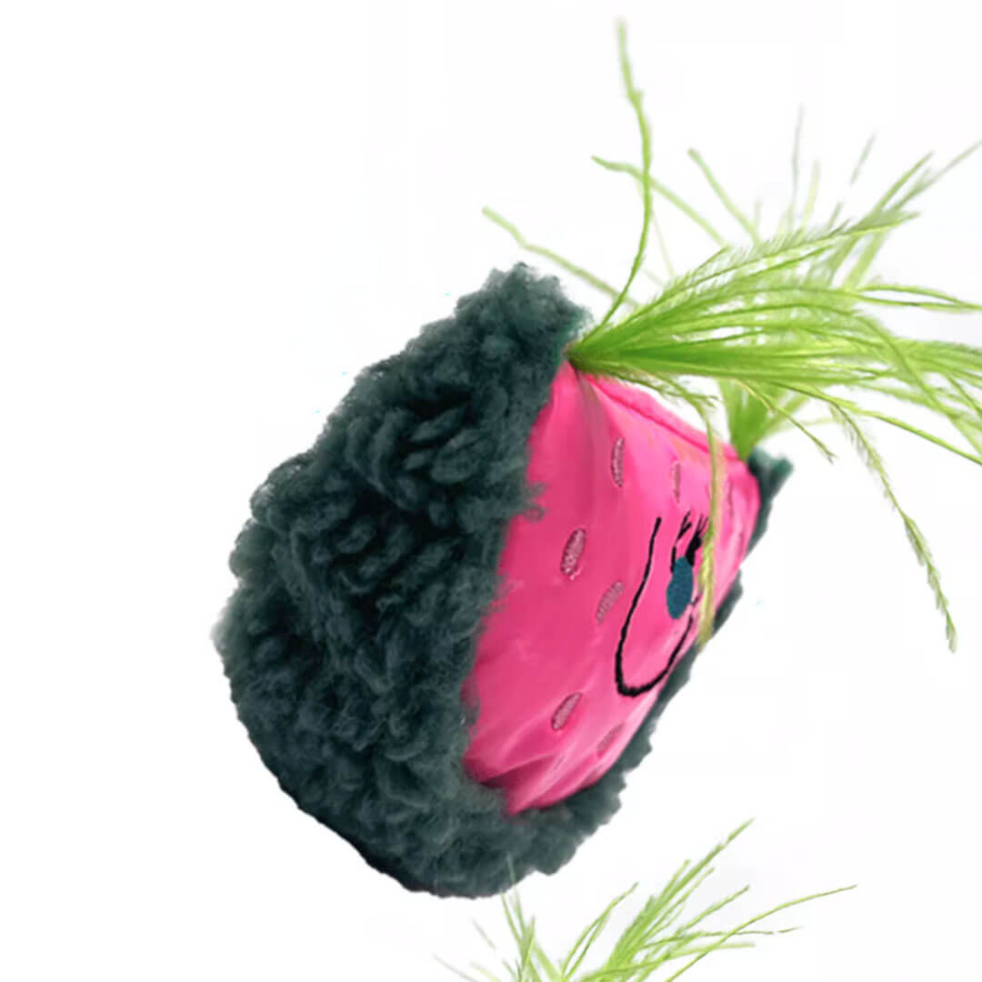 Watermelon Catnip Toy | Cat Toys for Boredom | MissyMoMo