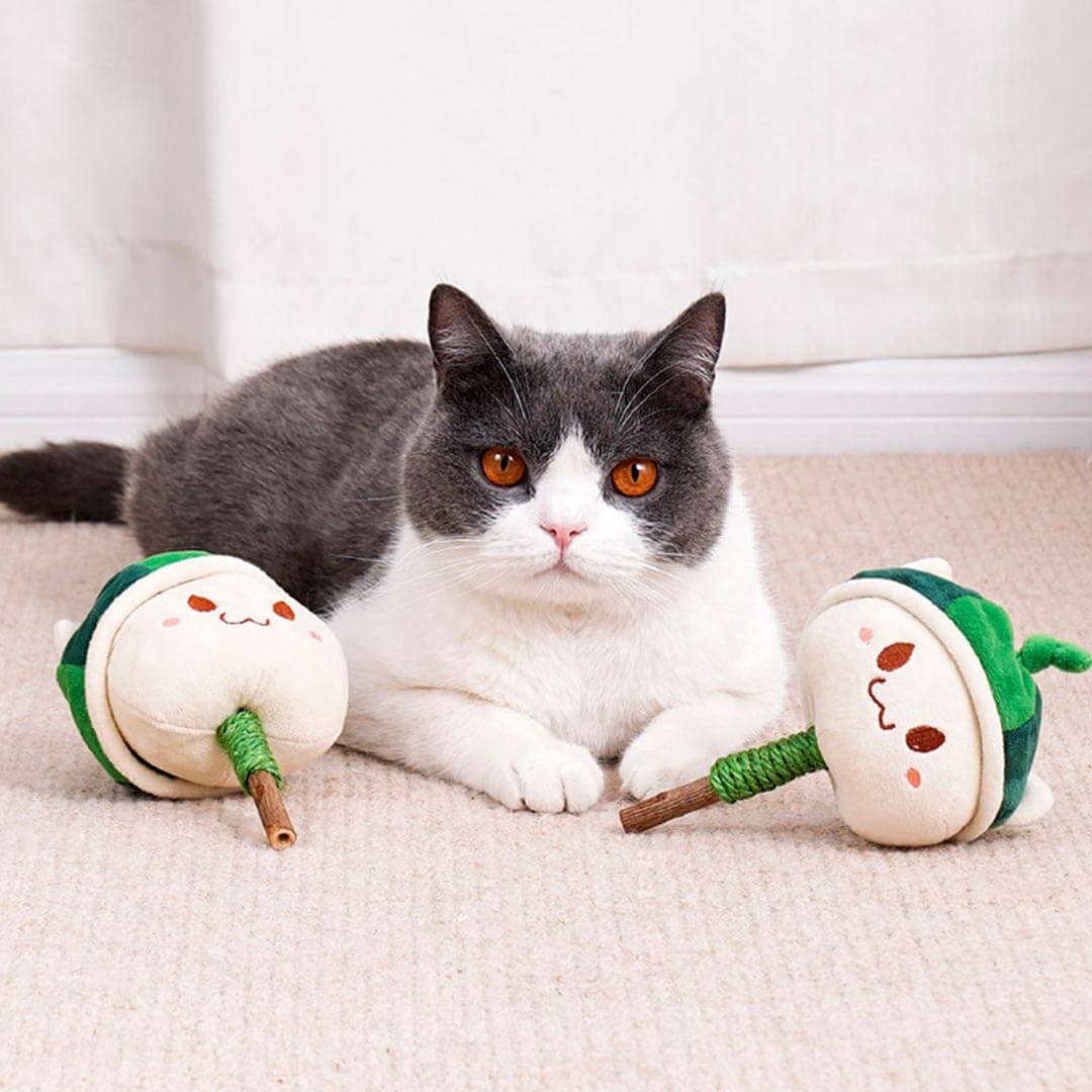 Cat with Watermelon Kitty Silvervine Cat Chew Toy | MissyMoMo