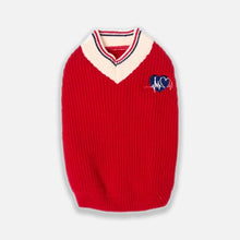 Load image into Gallery viewer, Red Preppy Sweater for Cats &amp; Kittens | Cat Clothes | MissyMoMo
