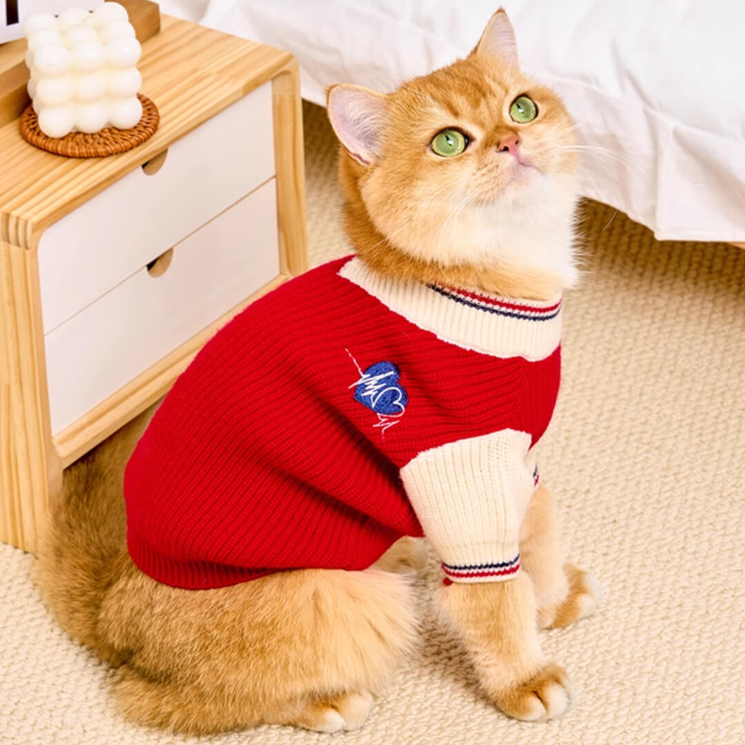 Winston Cat Sweater