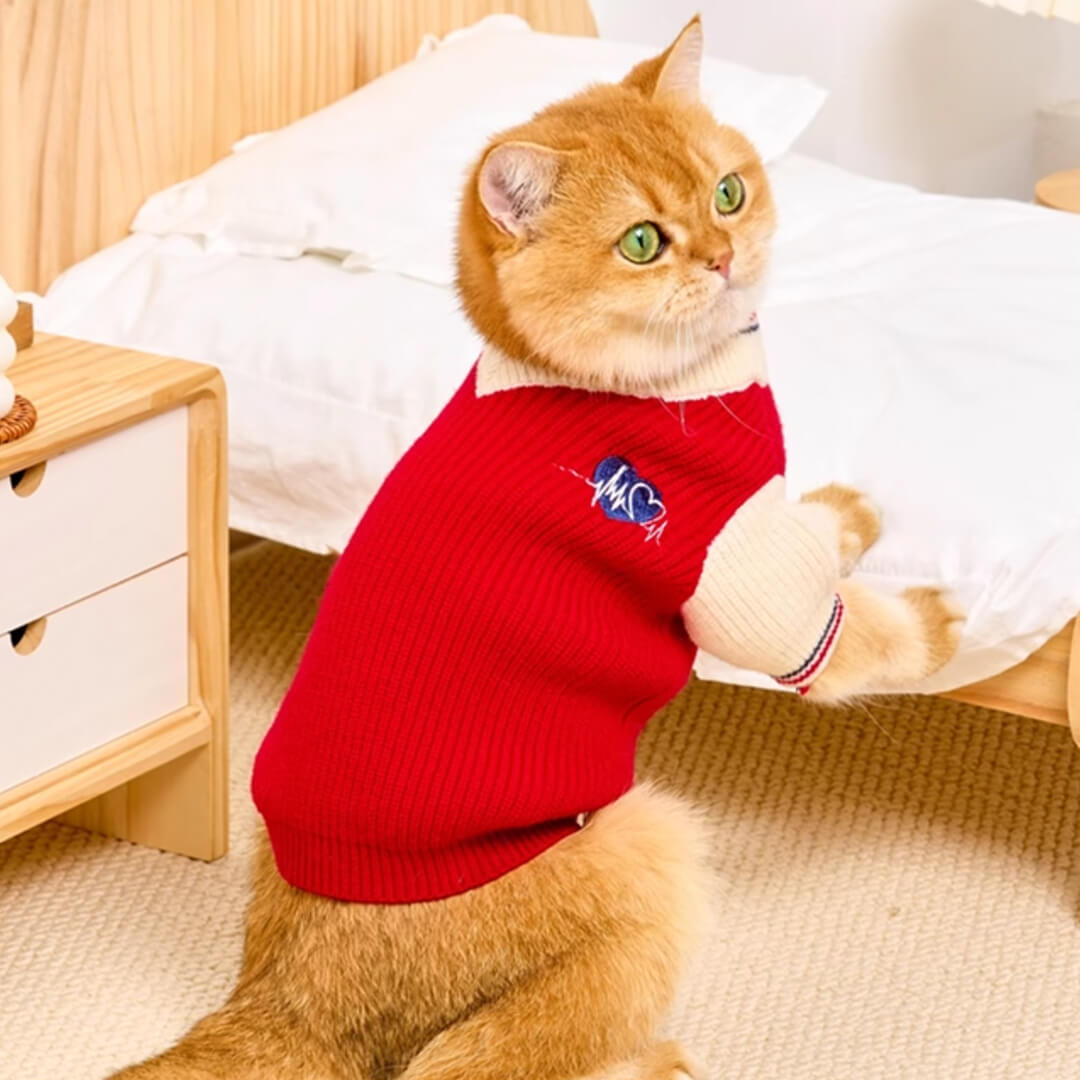 Cat in Red Preppy Sweater | MissyMoMo