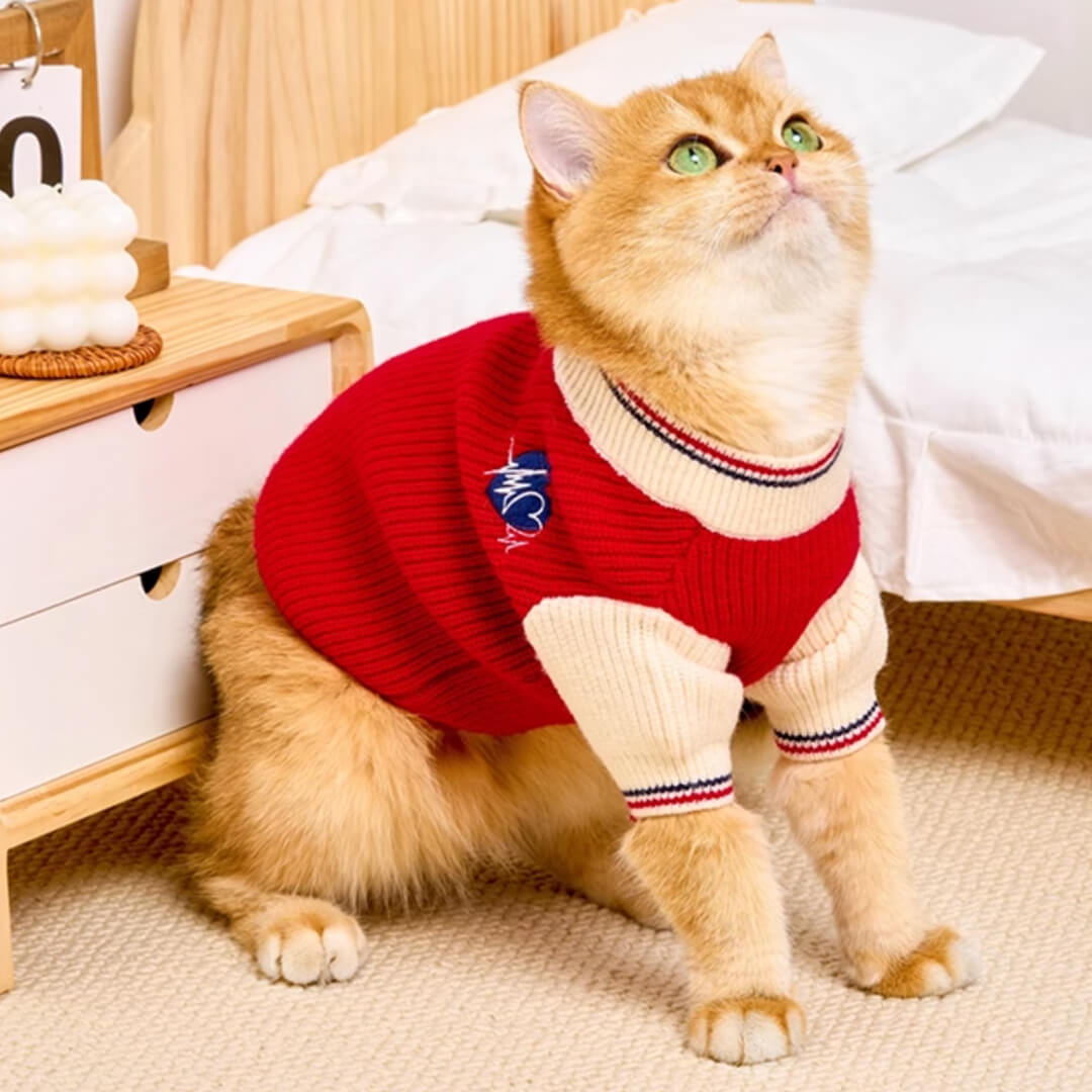 Cat in Red Preppy Sweater | MissyMoMo