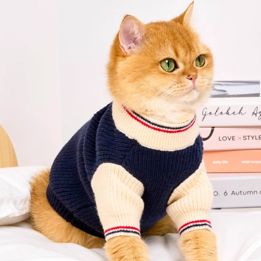 Cat in Blue Preppy Sweater | MissyMoMo