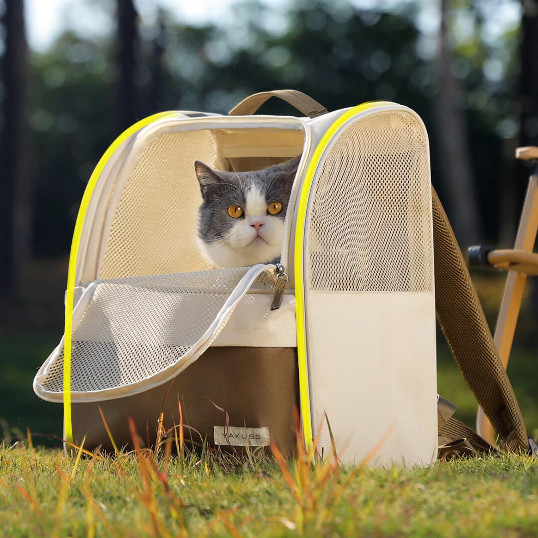 Cat Inside Lightweight Cat Backpack | MissyMoMo