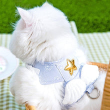 Load image into Gallery viewer, Cat Sitting in Blue Angel Harness with Wings from Back View | MissyMoMo
