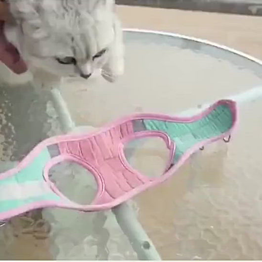 Cat Wearing Marshmallow Reflective Cat Harness | MissyMoMo