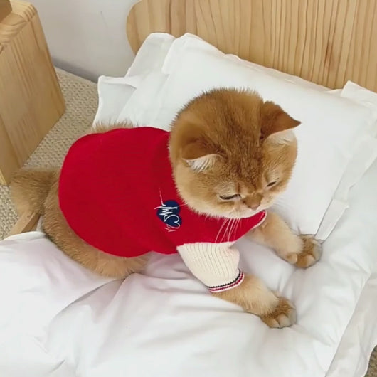 Preppy Sweater for Cats & Kittens | Cat Clothes | MissyMoMo