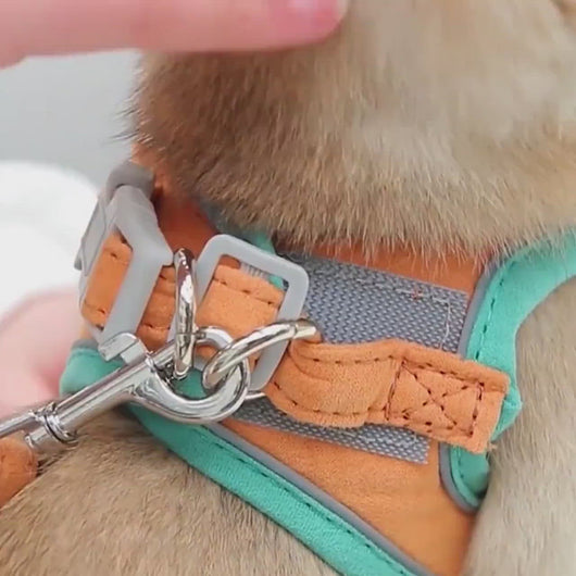 Mochi Escape-Proof Cat Harness and Leash for Walking | Cat on a Leash | MissyMoMo