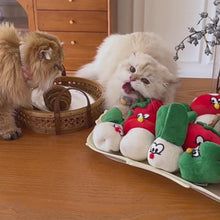Load and play video in Gallery viewer, Cats Playing with Veggie Plush Catnip Toys | MissyMoMo
