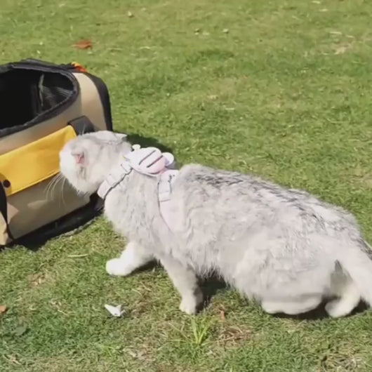 Stylish Expandable Cat Carrier for Flying | MissyMoMo
