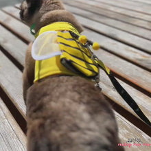 Load and play video in Gallery viewer, Siamese Cat Wearing Honeybee Cat Harness in Yellow, Rear View | MissyMoMo
