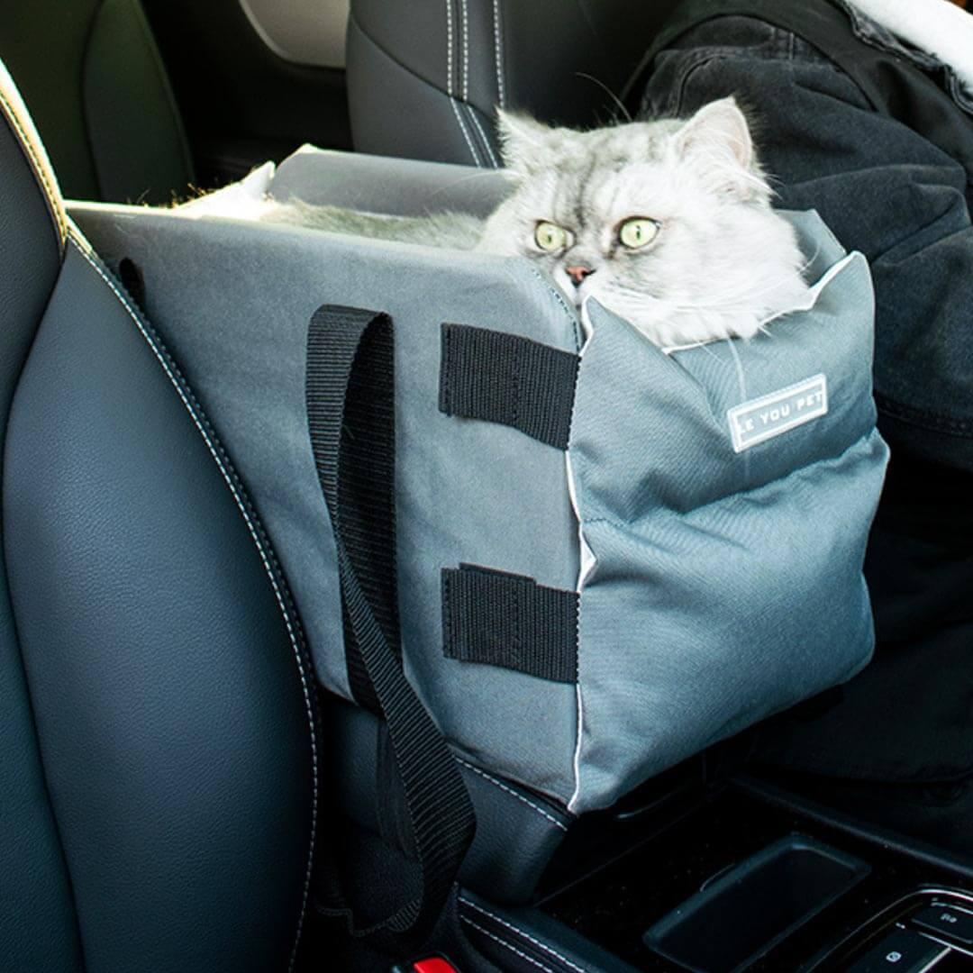 Explorer Cat Car Seat Carrier in Gray with Cat Inside | MissyMoMo