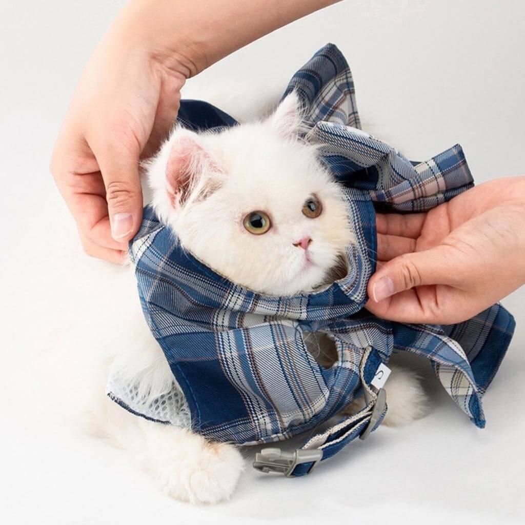 Person Putting on Fuji Cat Harness on a White Cat | MissyMoMo