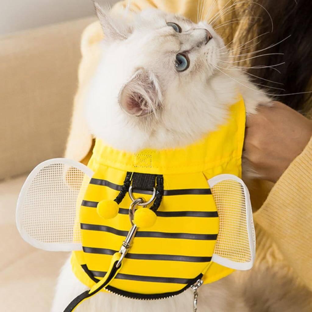 Cat Exploring Outdoors in Honeybee Cat Harness & Leash Set | MissyMoMo