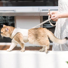 Load image into Gallery viewer, Cat Walking with Loki Cat Harness, Side View | MissyMoMo
