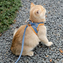 Load image into Gallery viewer, Cat Ready for a Walk in Mochi Cat Harness &amp; Leash Set | MissyMoMo
