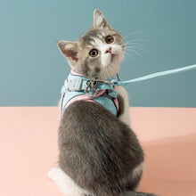 Load image into Gallery viewer, Cat Wearing Mochi Cat Harness | MissyMoMo
