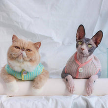 Load image into Gallery viewer, Daisy Cat Vest | Cats with Clothes | MissyMoMo 
