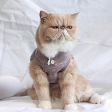 Load image into Gallery viewer, Daisy Cat Vest | Cat with Clothes | MissyMoMo 
