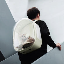 Load image into Gallery viewer, Wulee Clear Bubble Cat Backpack | Travel Carrier For Cats | MissyMoMo
