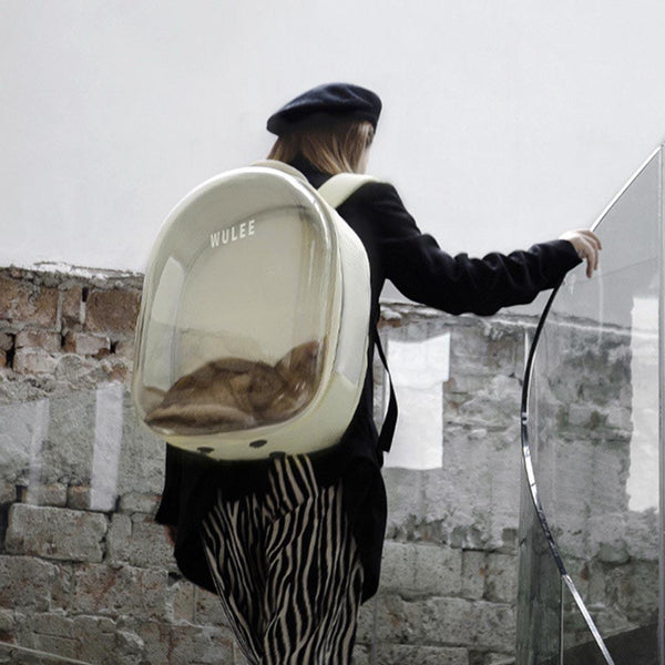 Wulee Clear Bubble Cat Backpack | Travel Carrier For Cats | MissyMoMo